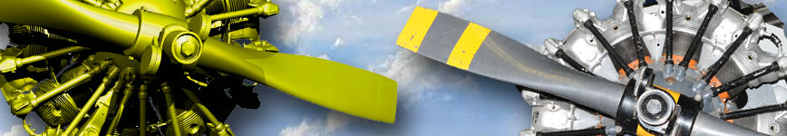 3D scan of aeroplane engine and propeller